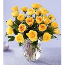 2 dozen Yellow Roses in a Vase